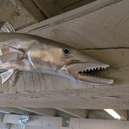 Philips Collect. Barracuda UNIQUE FINDS