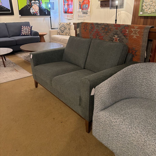 Gray sofa in a living room setting with a rug and wall art.