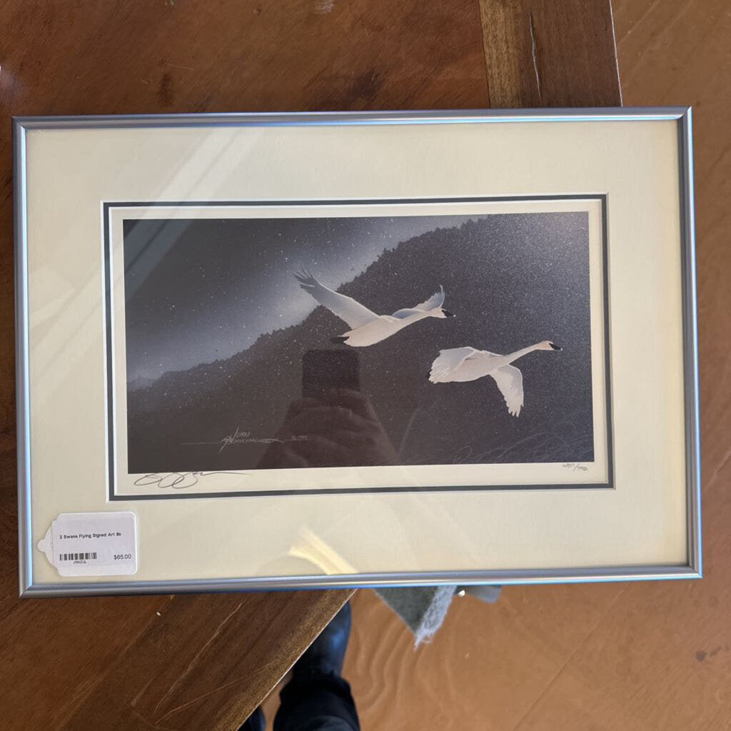 Framed artwork of two swans flying over a mountainous landscape.