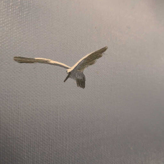 Bird in flight against a gray sky