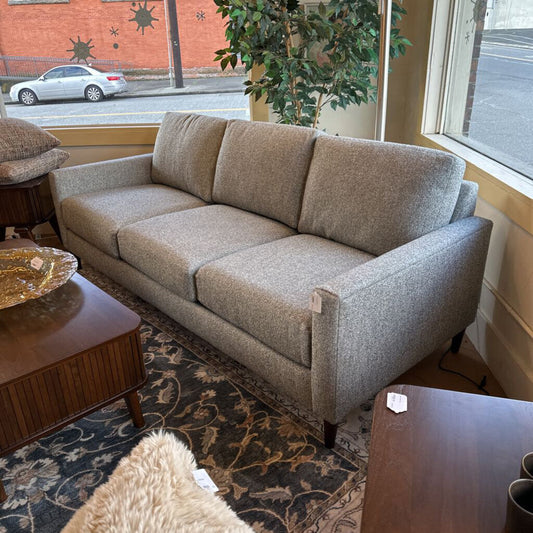 Gray sofa in a room with a window, plant, and coffee table.