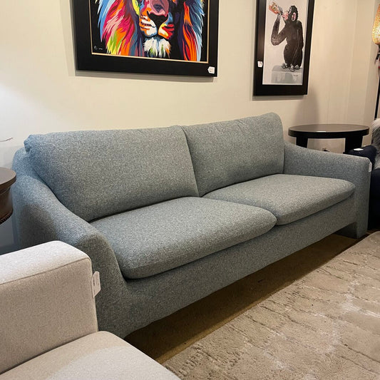 light blue sofa with the colorfull lion picture on the wall