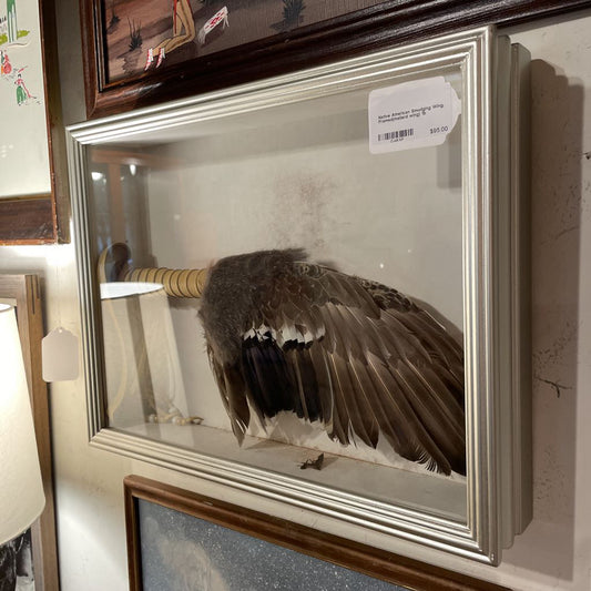 Native American Smudging Wing, Framed(mallard wing)