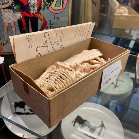 Plastic T. Rex Skeleton Set in Box UNIQUE FINDS