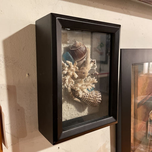 Decorative shadow box with shells and coral on a wall