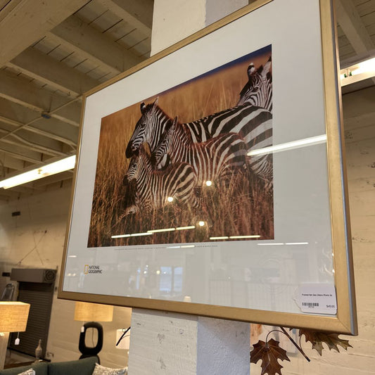 Framed photograph of zebras in a natural setting displayed in a store.