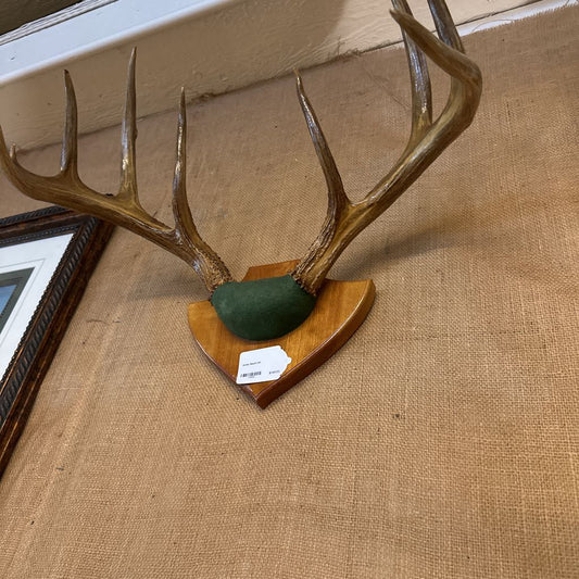 Decorative deer antlers on a wooden base with a green center, displayed on a textured surface.