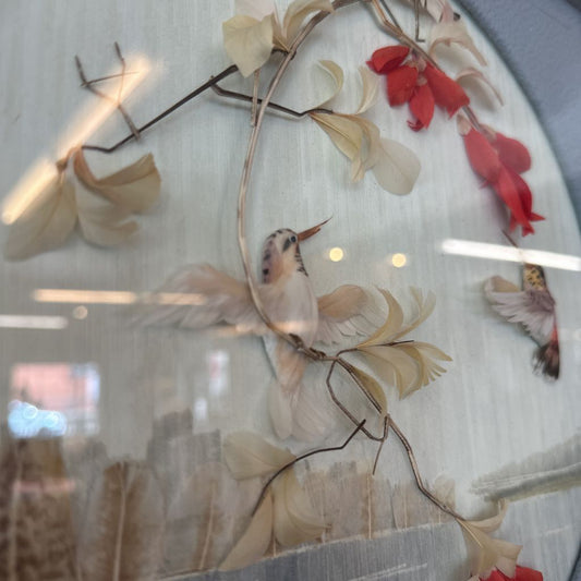 Hummingbird Shadowbox Artwork ART