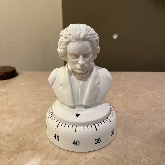 Beethoven Kitchen Timer! UNIQUE FINDS