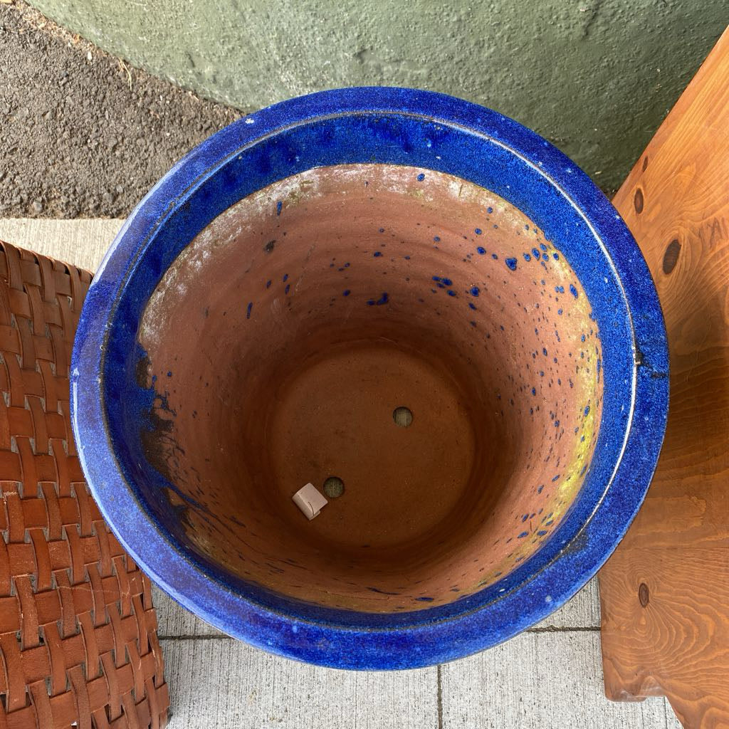 Bright Blue All Seasons Ceramic Planter