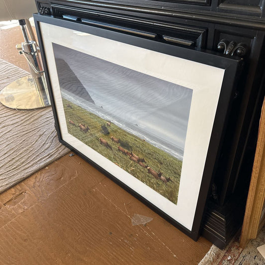 Coastal Elk Print