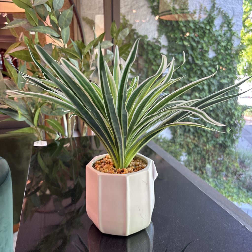 Faux Spider Plant SMALLS