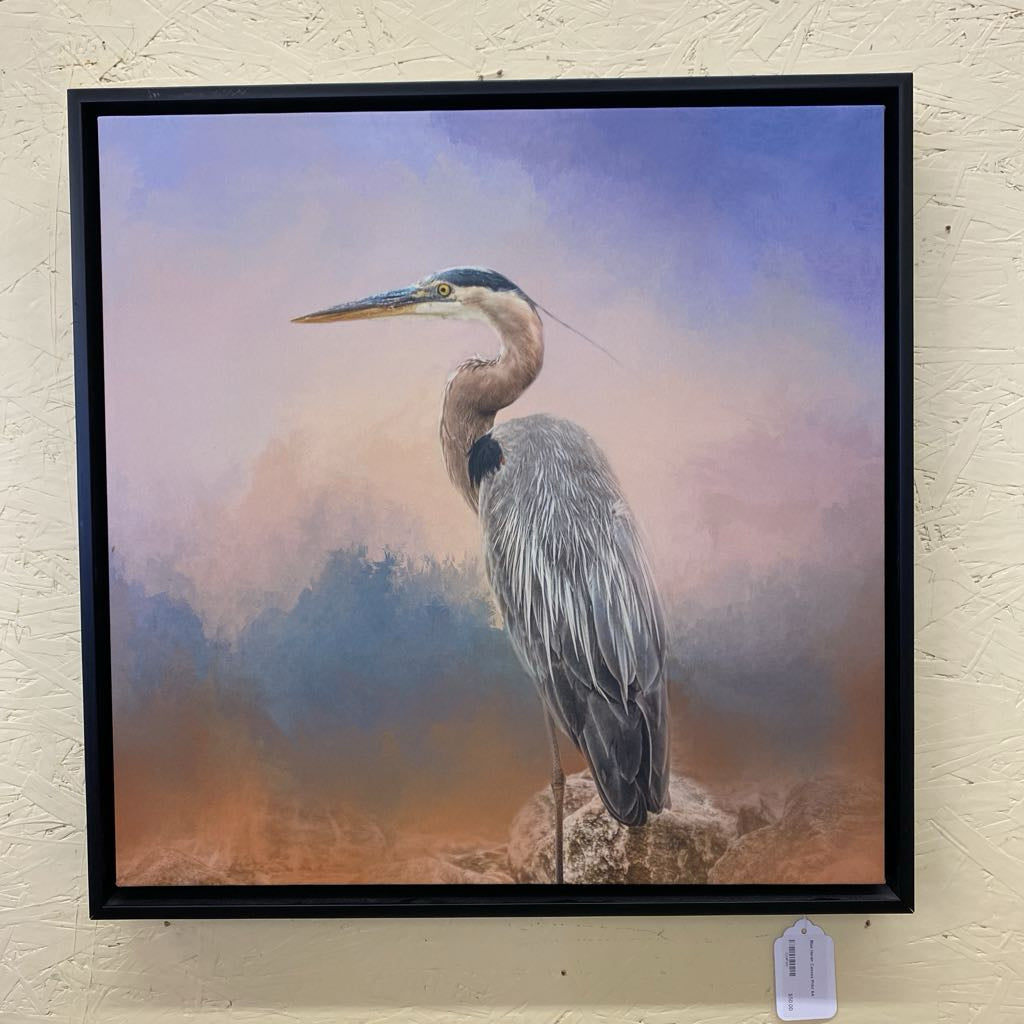 Blue Heron Canvas Print