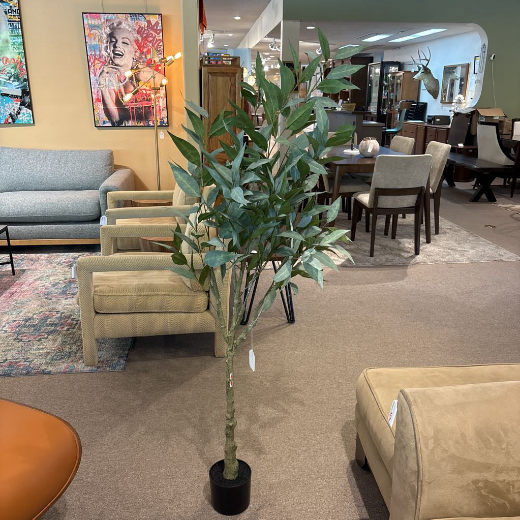 5 Foot Eucalyptus Tree SMALLS