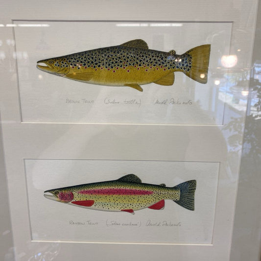 Signed TROUT & SALMON Watercolor ART
