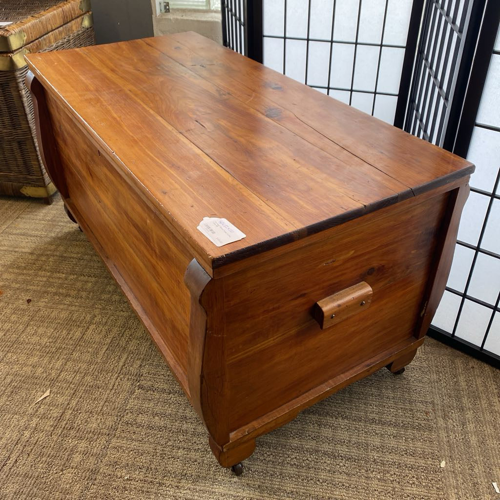 Pot Belly Wood Trunk Coffee Table