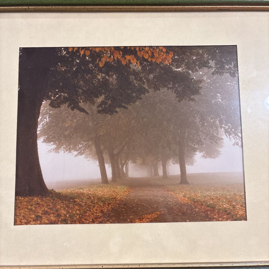 Foggy Autumn Walkway Print