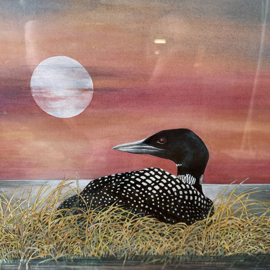 Signed and Numbered Loon Watercolor Print ART