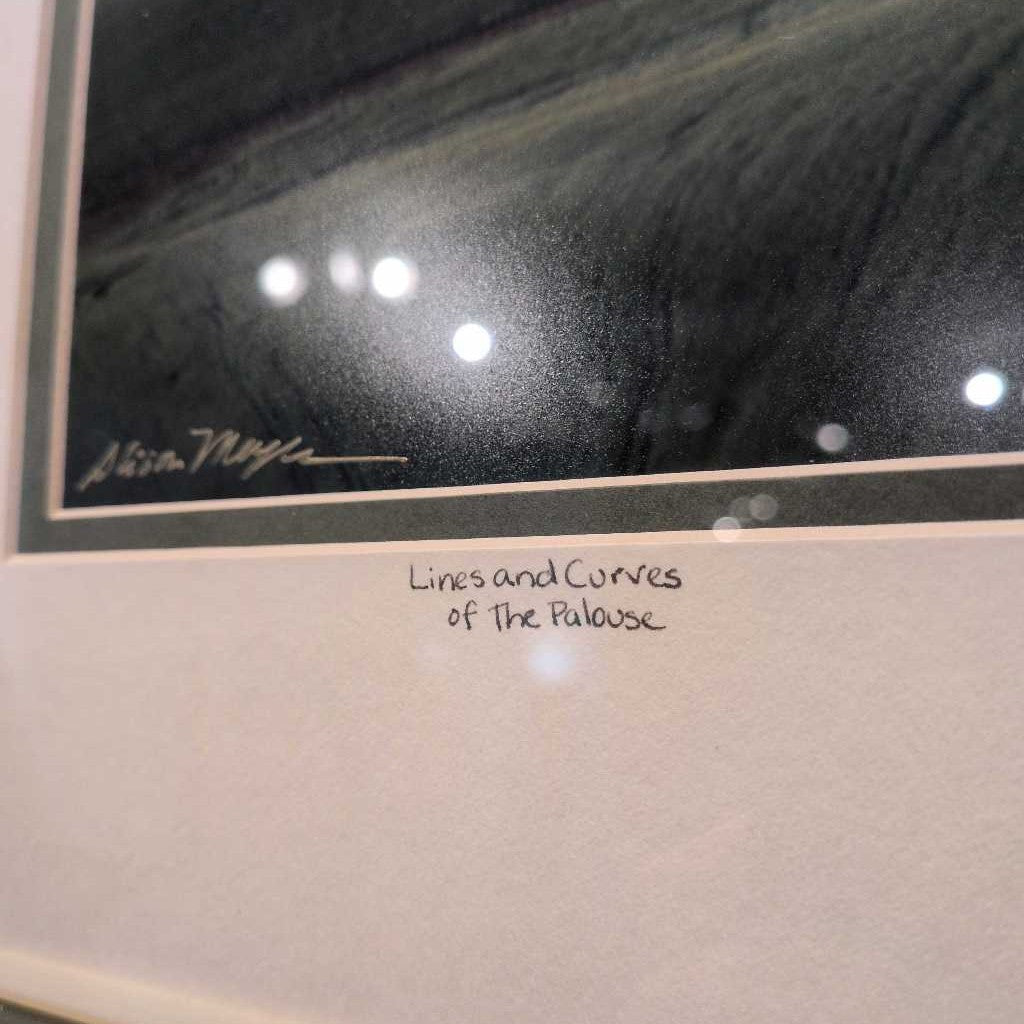 Alison Meyer photo with Gold Frame