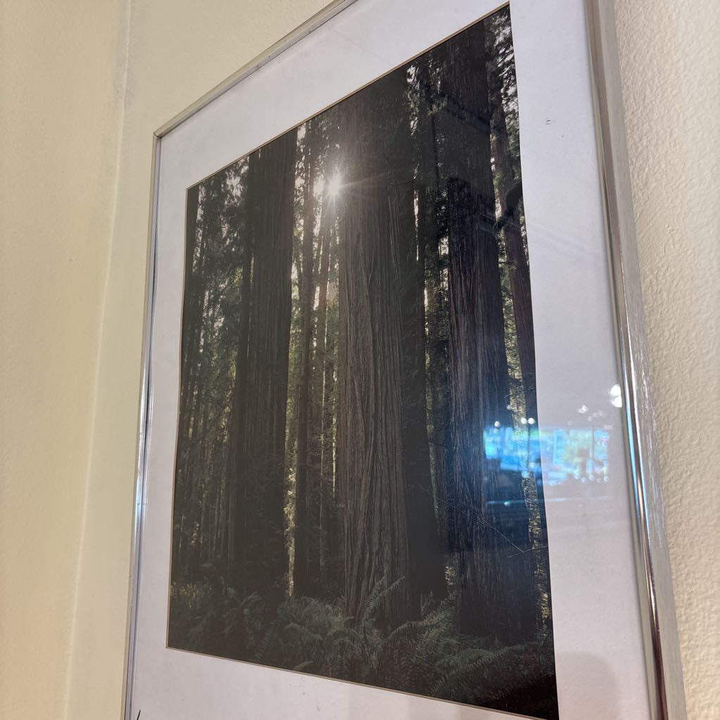Nature Print
