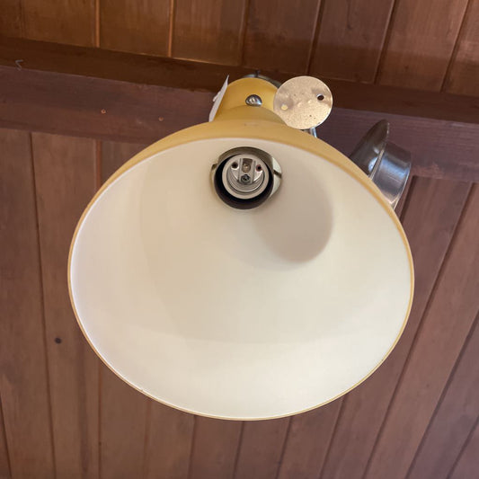 Tangerine Sculpted Pendant Light LAMPS