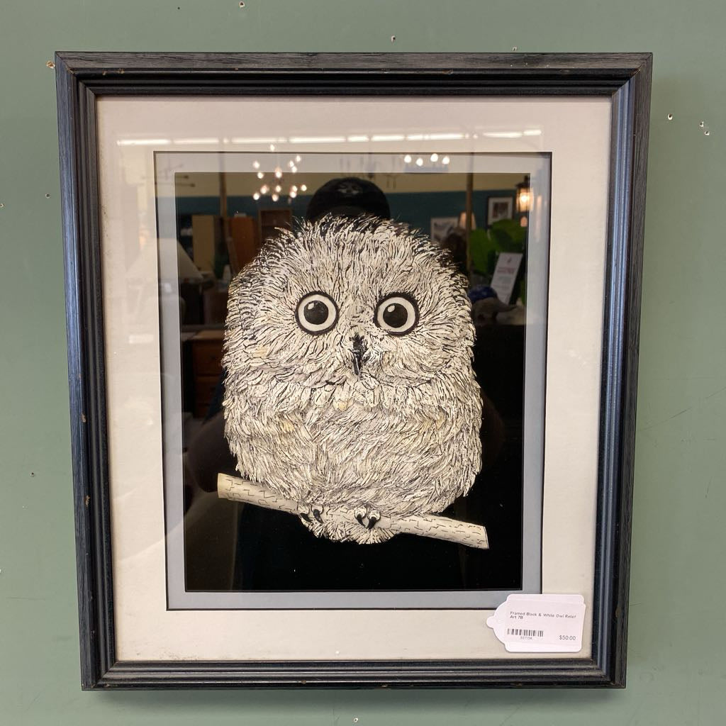 Framed Black & White Owl Relief Art