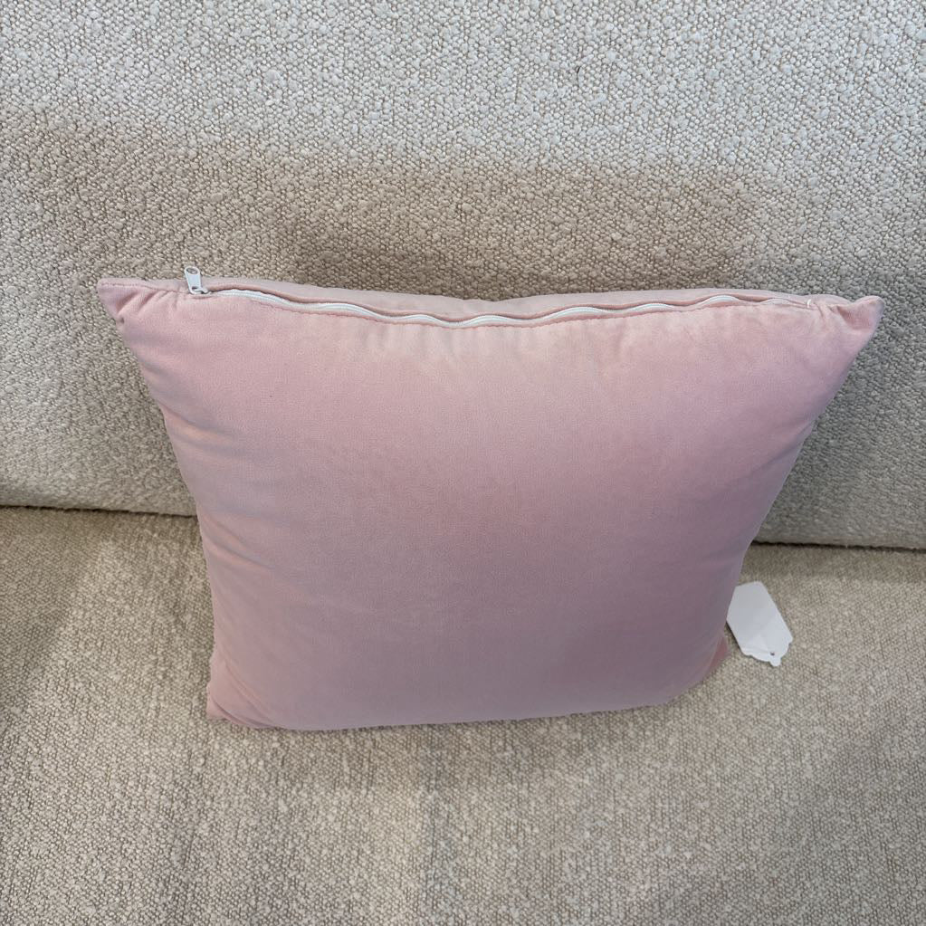 Pink Velvet Pillow