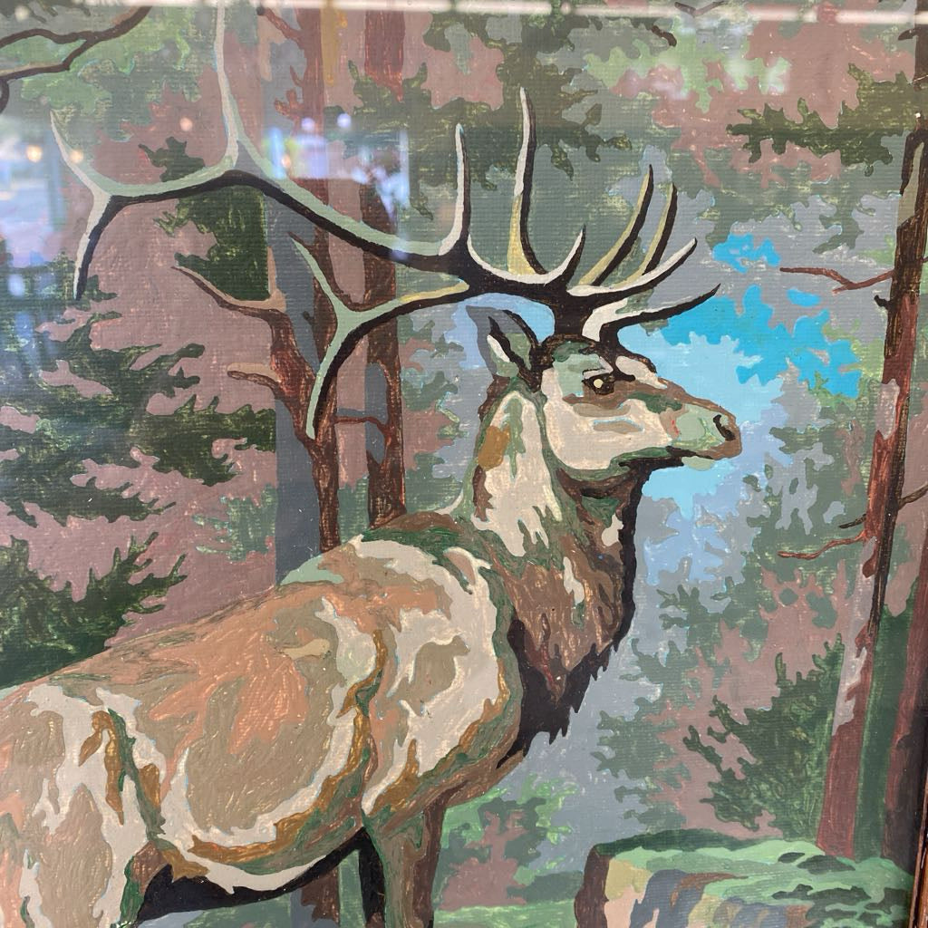 Stag Paint by Numbers