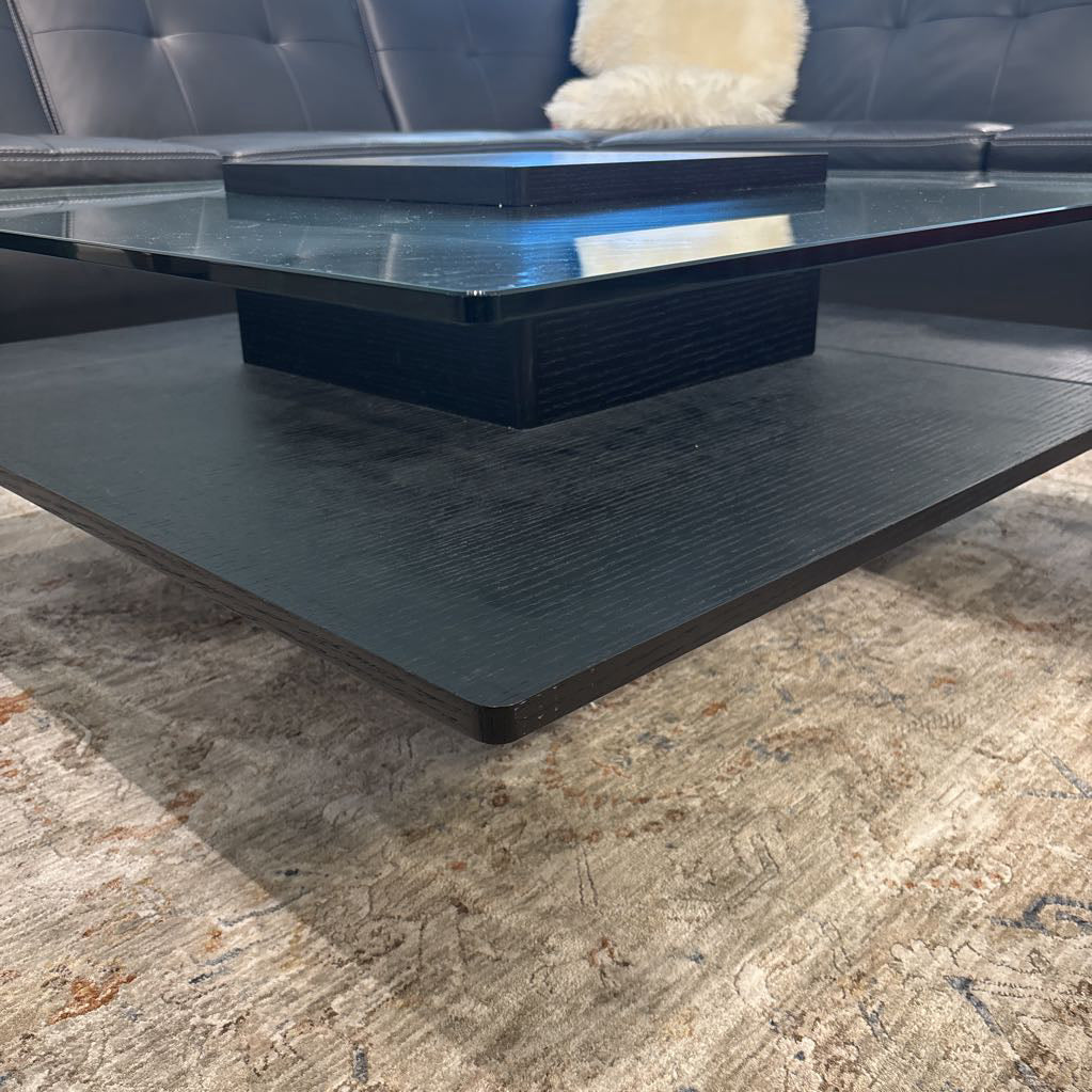 Modern Black Glass Top Coffee Table Dania