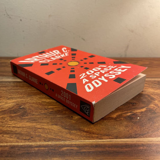 2001 A Space Odyssey Paperback