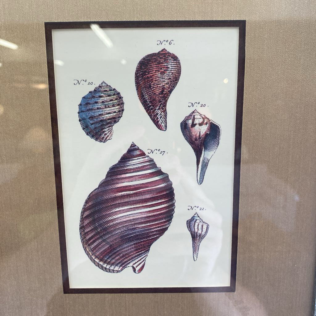 Sea Shell Art ART