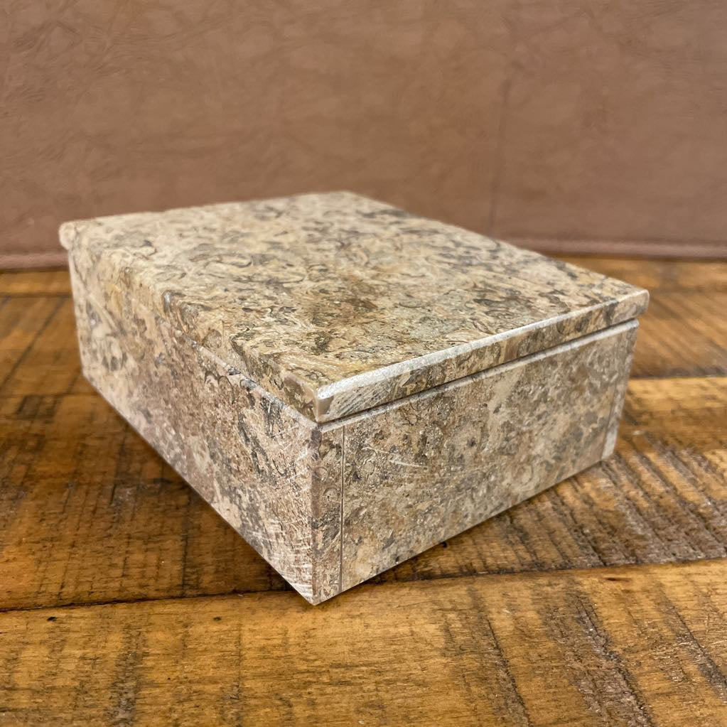 Fossilized Stone Box