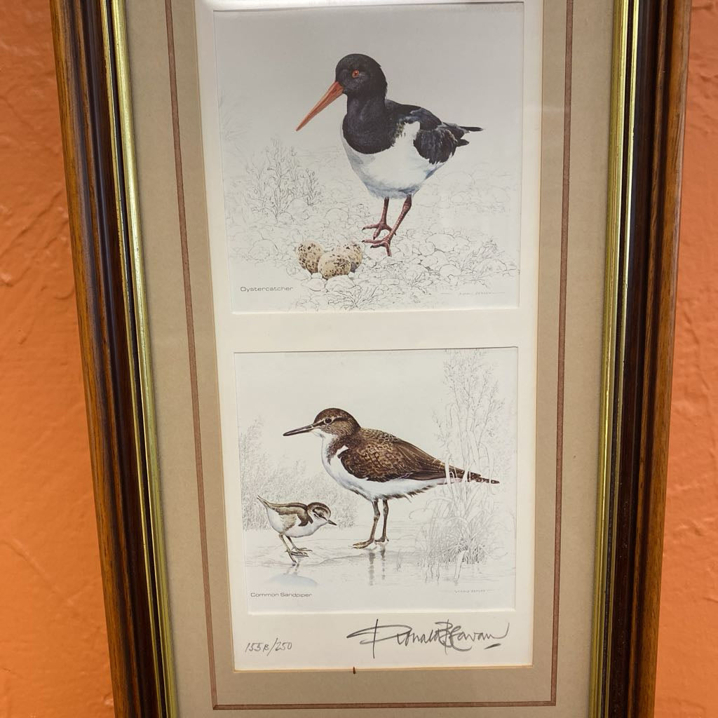 Signed & Numbered Lapwing, Oystercatcher, Common Sandpiper Art
