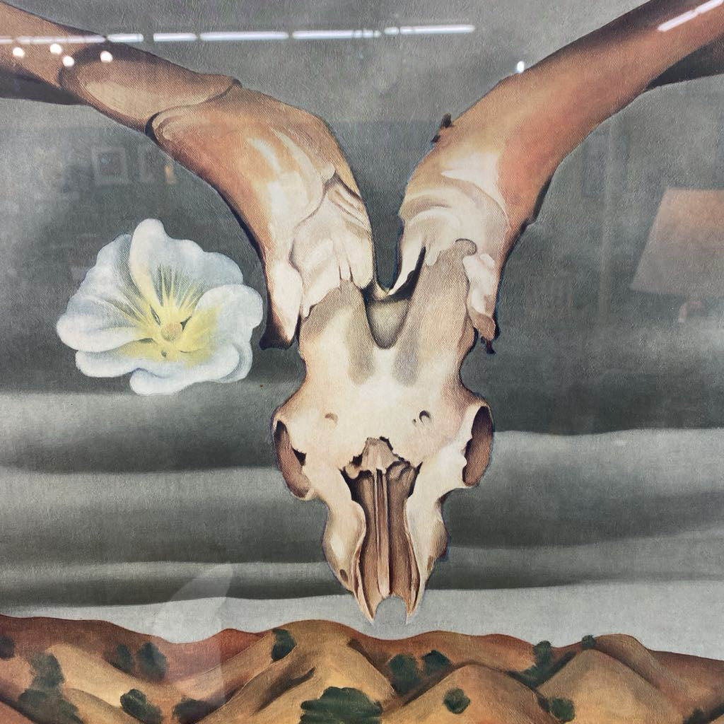 OKEEFE Longhorn Skull Print