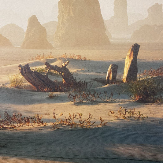 Sand & Driftwood Canvas Art ART