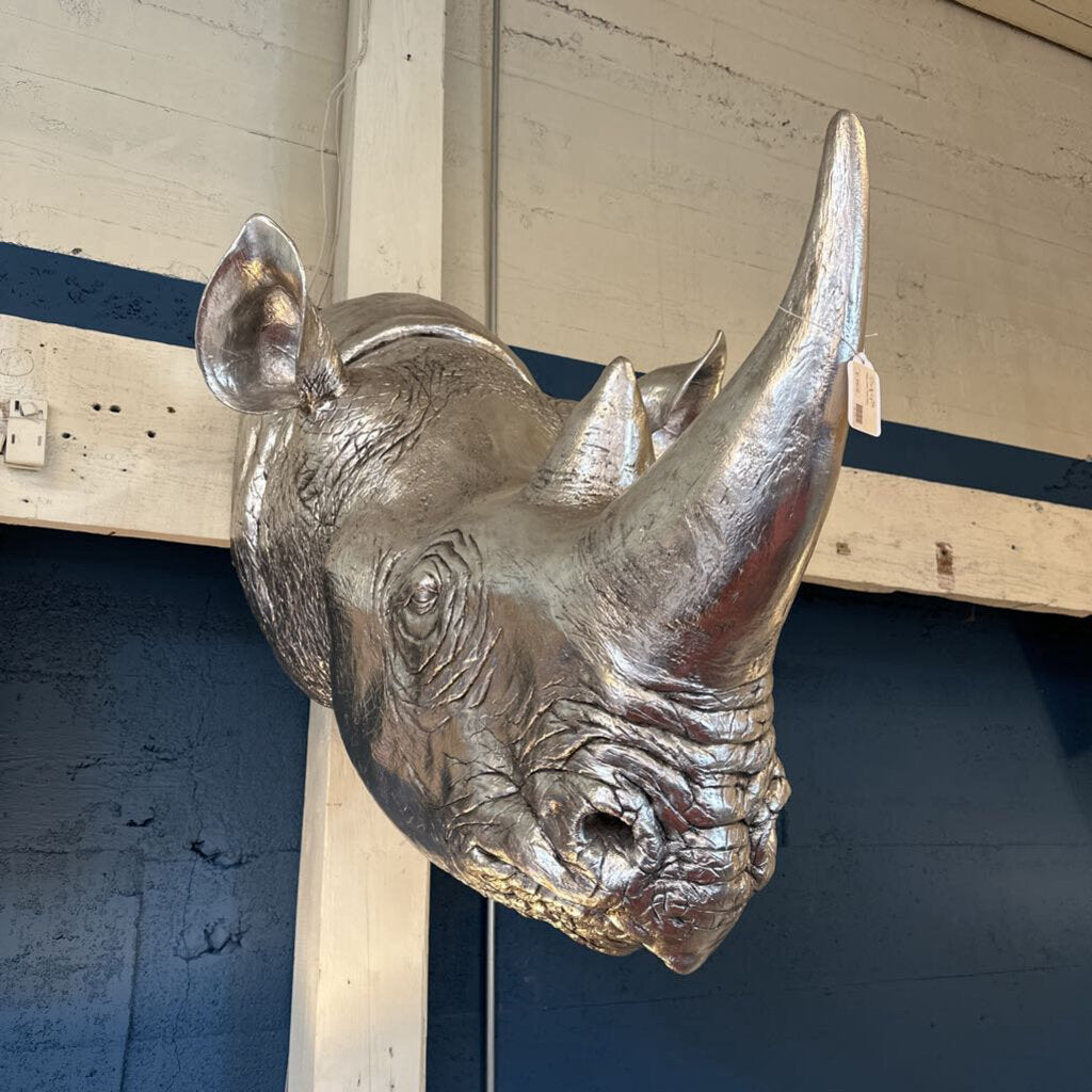 Silver rhinoceros head mount on a wall with a blue stripe.