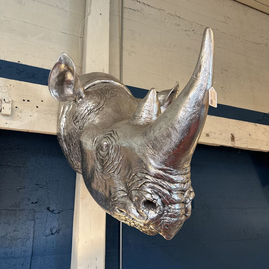 Silver rhinoceros head mount on a wall with a blue stripe.