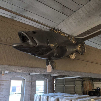 Philips Collect. Estuary Cod UNIQUE FINDS