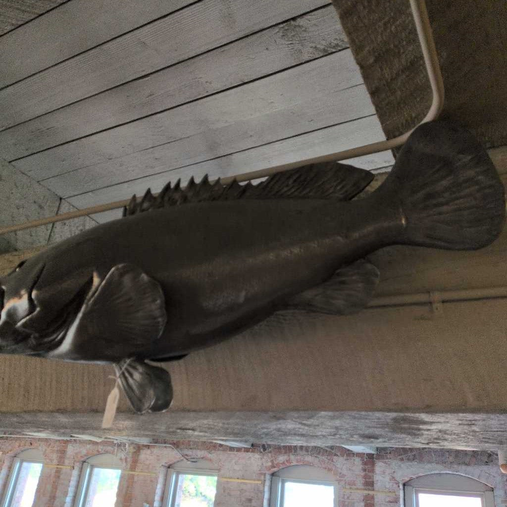 Philips Collect. Estuary Cod UNIQUE FINDS