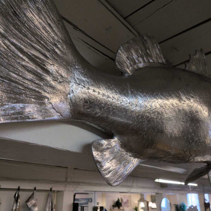 Philips Collect. Barramundi UNIQUE FINDS