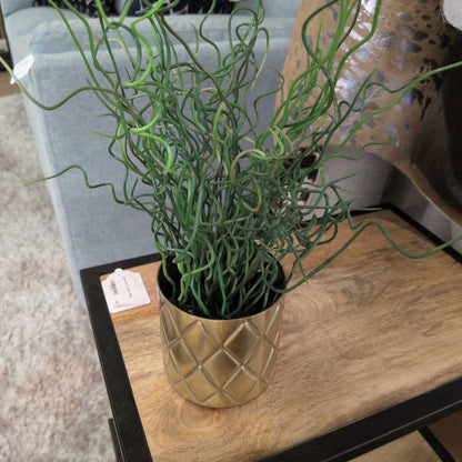 Assorted SM Greenery