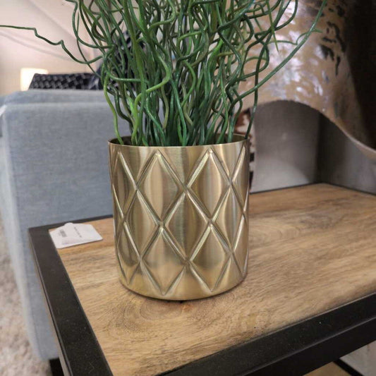 Assorted SM Greenery