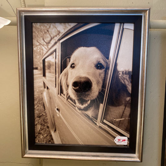 Where You Go Dog Wall Art