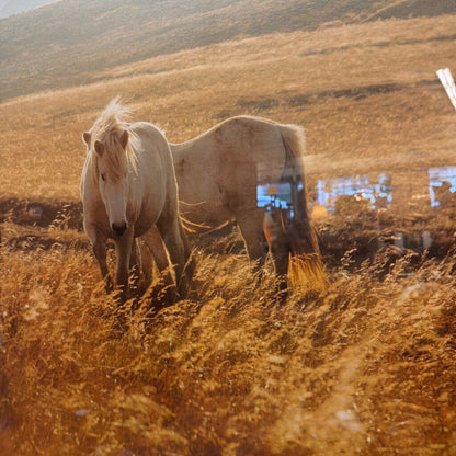 Moorland Security Wall Art