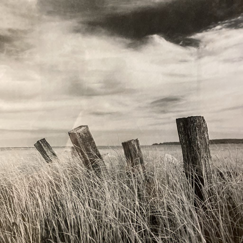 The way to the sea ART