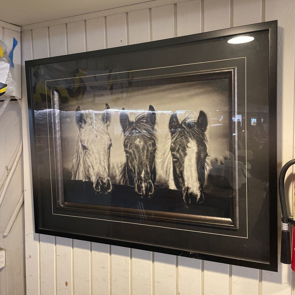Framed artwork of three horses on a white wall.