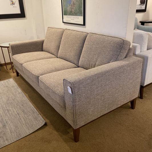 Gray sofa in a room with a rug and framed pictures on the wall.