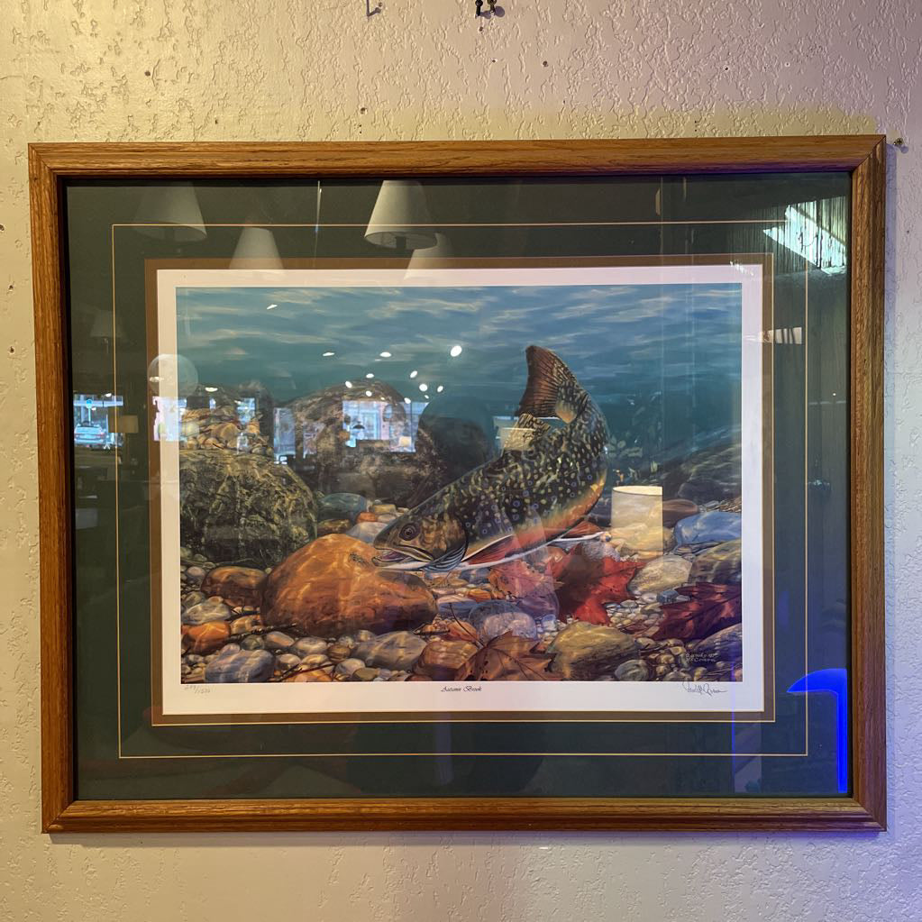 Brook Tout & Stones in Streambed Art ART
