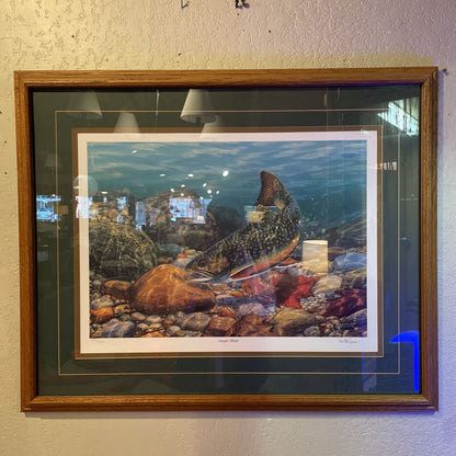 Brook Tout & Stones in Streambed Art ART