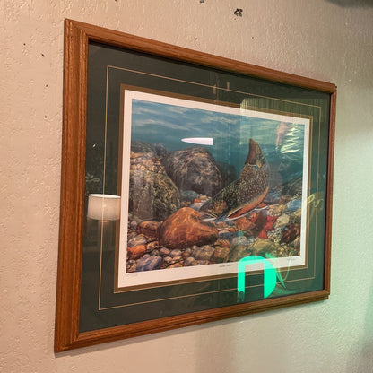 Brook Tout & Stones in Streambed Art ART